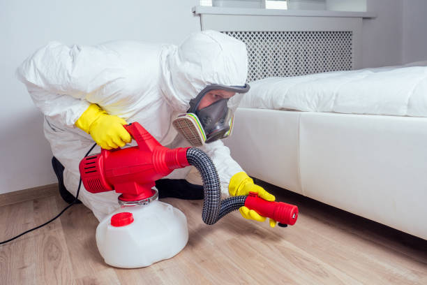 Professional Pest Control in Temple, PA